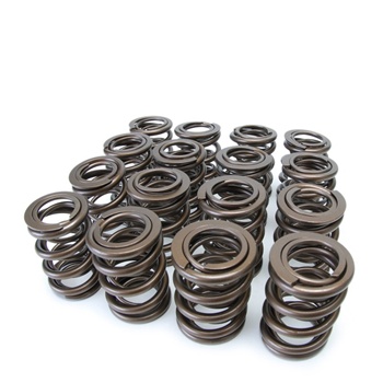 Skunk2 Racing Pro Series Valve Springs